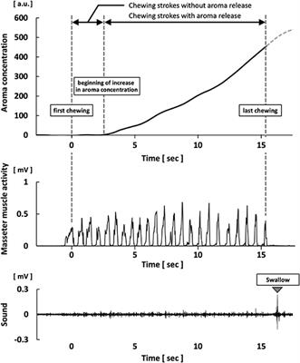 Higher Masticatory Performance and Higher Number of Chewing Strokes Increase Retronasal Aroma